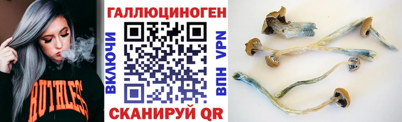 Псилоцибиновые грибы мицелий  Купить  Купино 